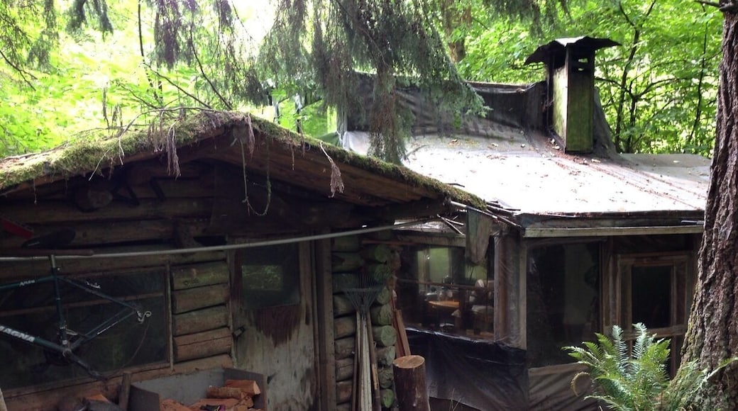 Elaborate homeless cabin in the woods behind top foods