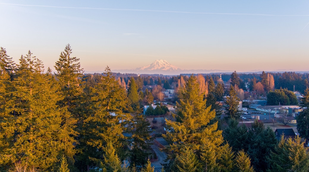 Mount Rainier and Lacey, Washington at sunset