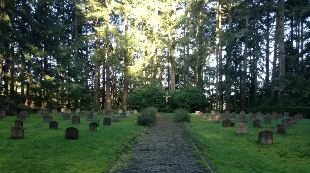 i've worked one minute from here for the last 11 years and had no idea at this place was here #localsecrets