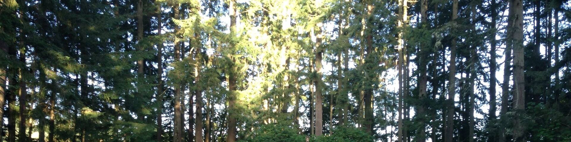 i've worked one minute from here for the last 11 years and had no idea at this place was here #localsecrets