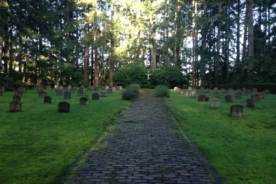 A cemetery with a cobblestone path leading through rows of headstones, surrounded by tall trees.