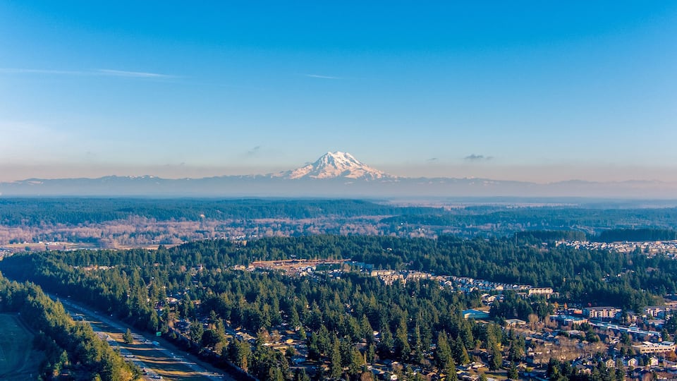 A snow-capped mountain, a dense forest, and a town in the foreground.