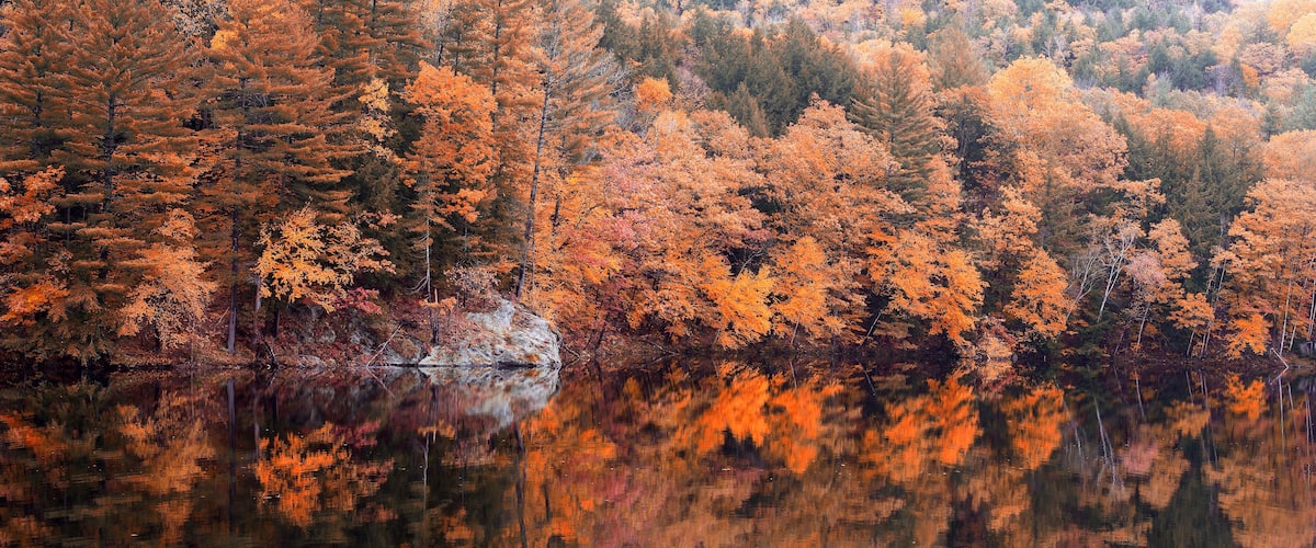 A forest with autumn foliage reflecting in a calm lake.
