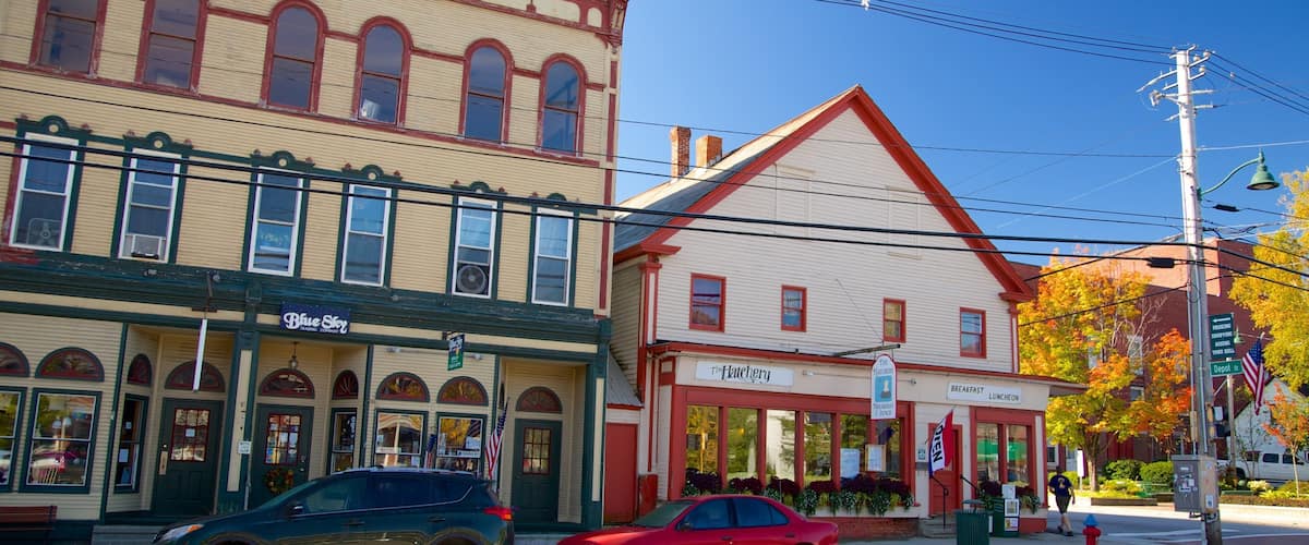 A street with historic buildings, including a diner and a Blue Star Trading Company.
