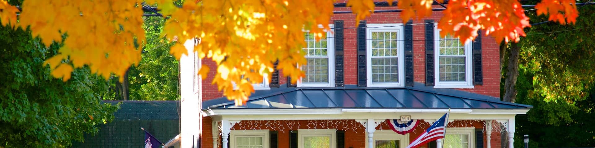 Ludlow showing a house