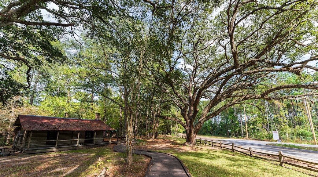 A wooden cabin, a paved walkway, and a road with a guardrail.