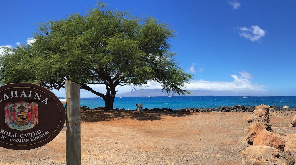 Condado de Maui