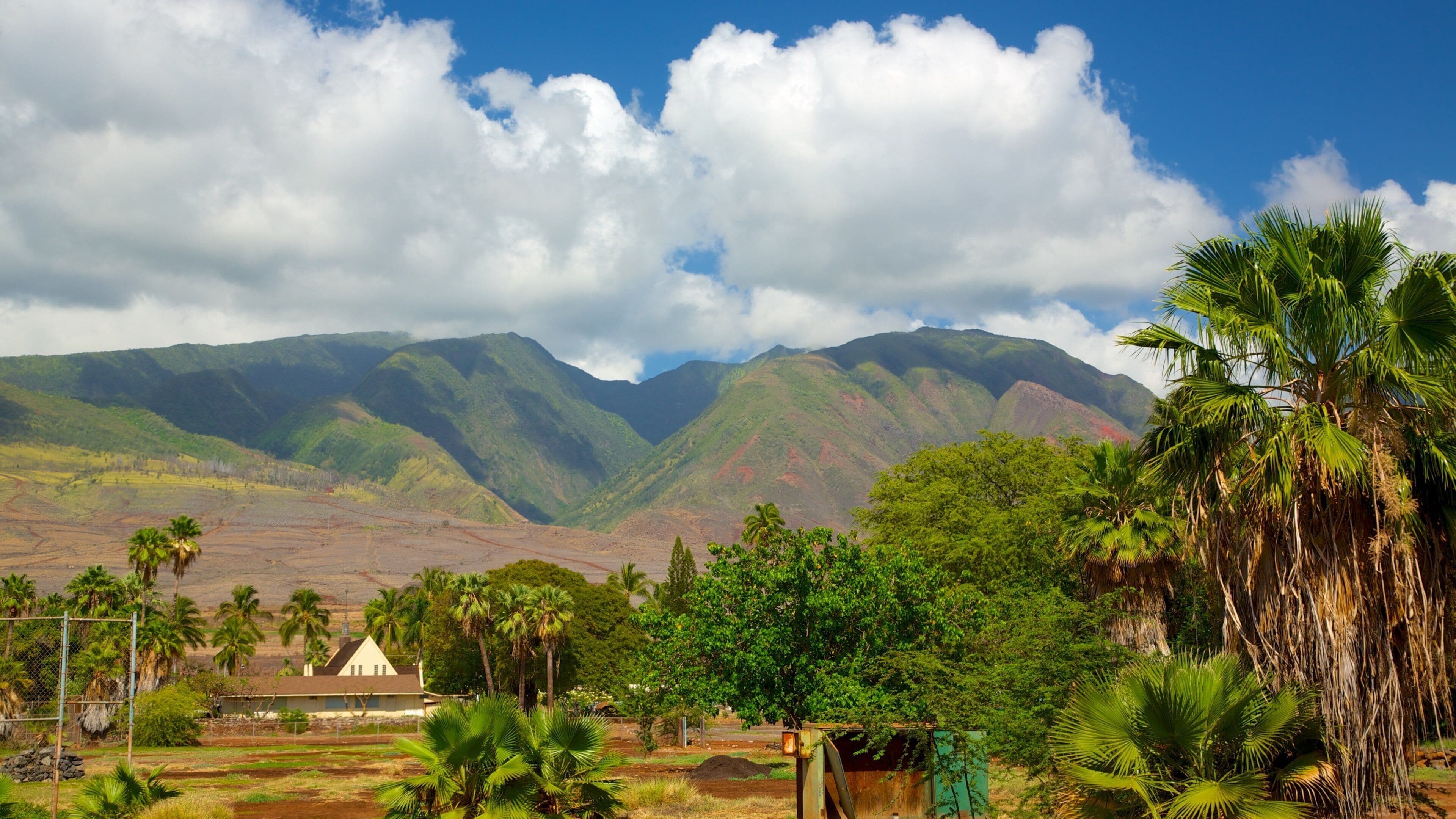 Lahaina caratteristiche di paesaggio tropicale e vista del paesaggio