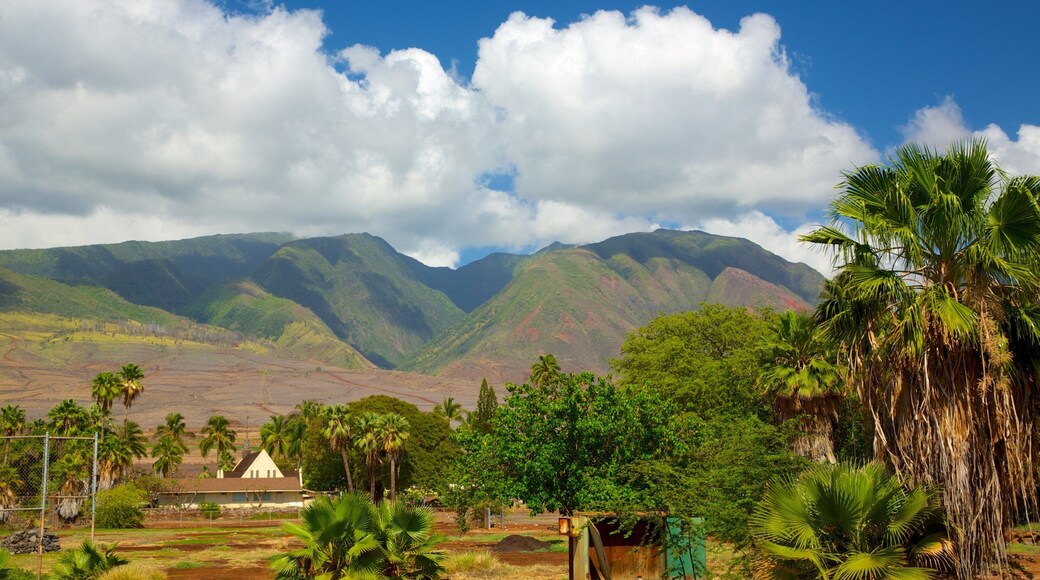 Lahaina joka esittää maisemat ja trooppiset näkymät