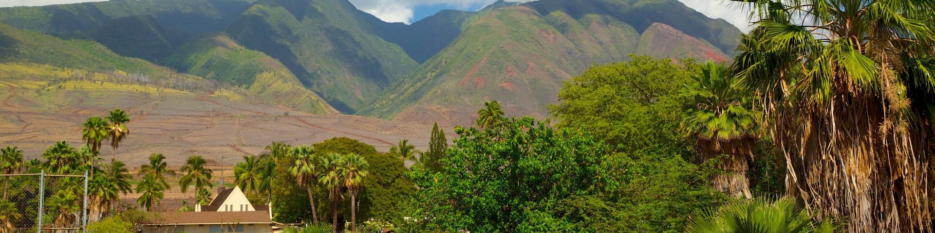 Lahaina showing landscape views and tropical scenes