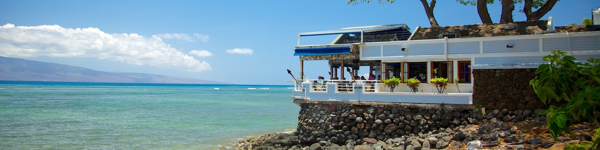 Uma praia com costa rochosa, um prédio branco com telhado azul e uma árvore.