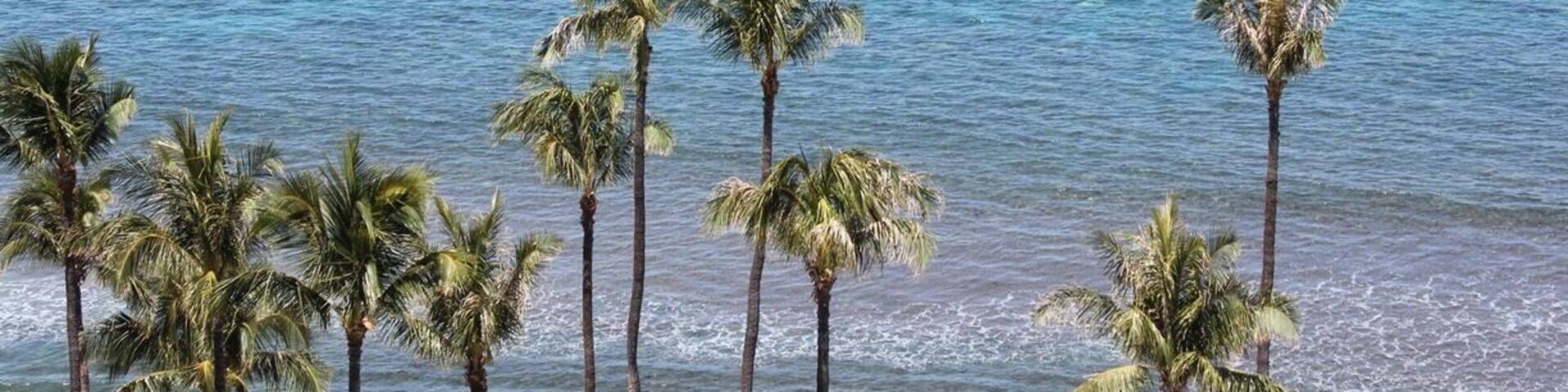 #Maui #Hawaii #BeachTips
#BVSBlue