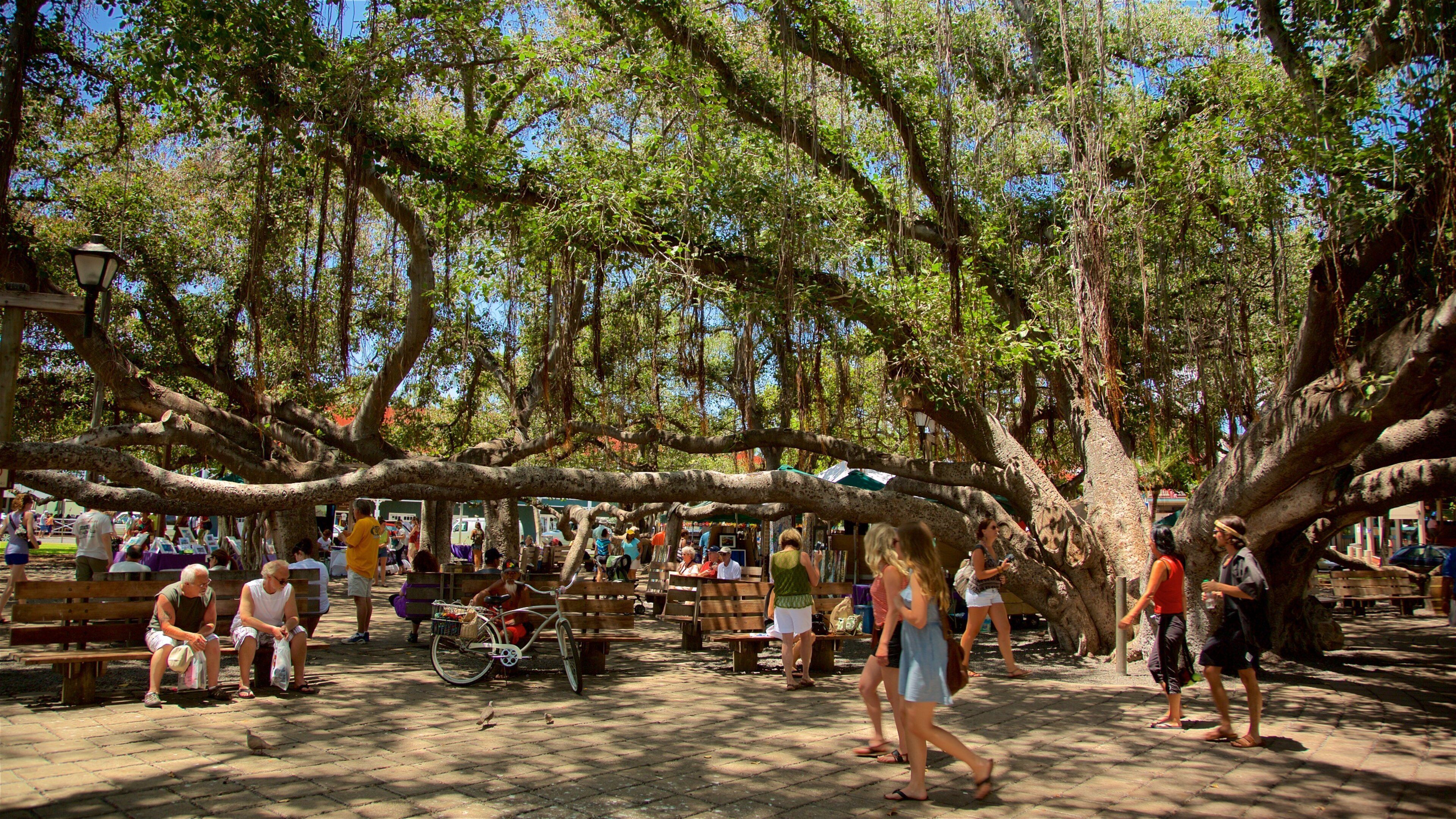 A park with large trees, benches, and people walking.