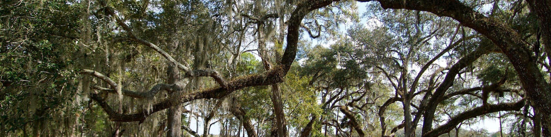 Dade Battlefield Historic State Park Bushnell, Florida