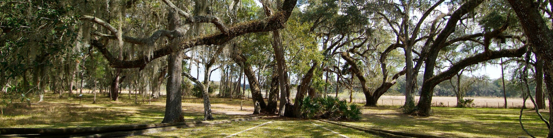 A park with large trees, a wooden fence, and a grassy area.