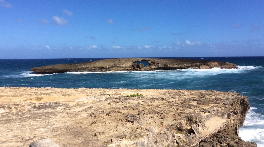 Laâie Point State Wayside Park in the Northeastern shore of Oahu, Hawaii.Its a small park which includes a rocky point and five small islands. One of the main attractions is the naturally formed arch or âLizard Rockâ as it called because it looks like a lizard. Tha arch has a hole punched through it which was done in 1946 during a Tsunami. A must see scenic view when going around the Island of Oahu. #BeachTips Photo Contest #My1stTour #Around the Island