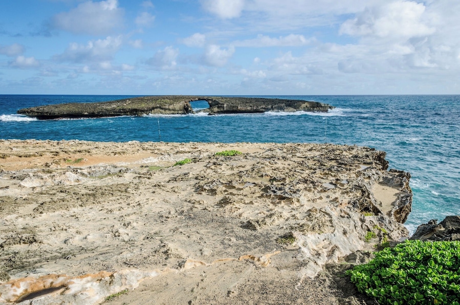 Stop here for some beautiful views if you're driving along the east shore of Oahu. This place is a few minutes away from the Polynesian Cultural Center. #lifeatexpedia #GreatOutdoors #Nature