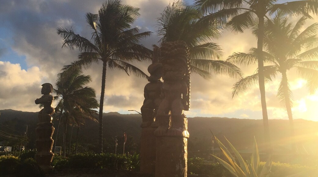 Great Luau on and show on O‘ahu, plus lots of information and neat exhibits, food & shopping during the day!
https://www.polynesia.com