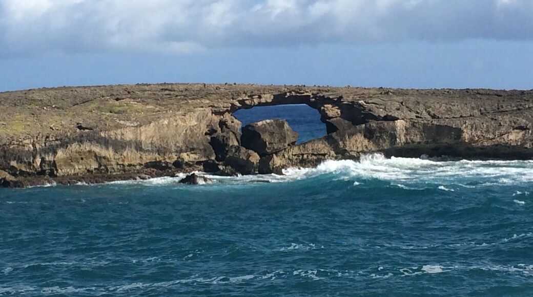 Beautiful spot to sit and listen to the waves crash on the rocks.