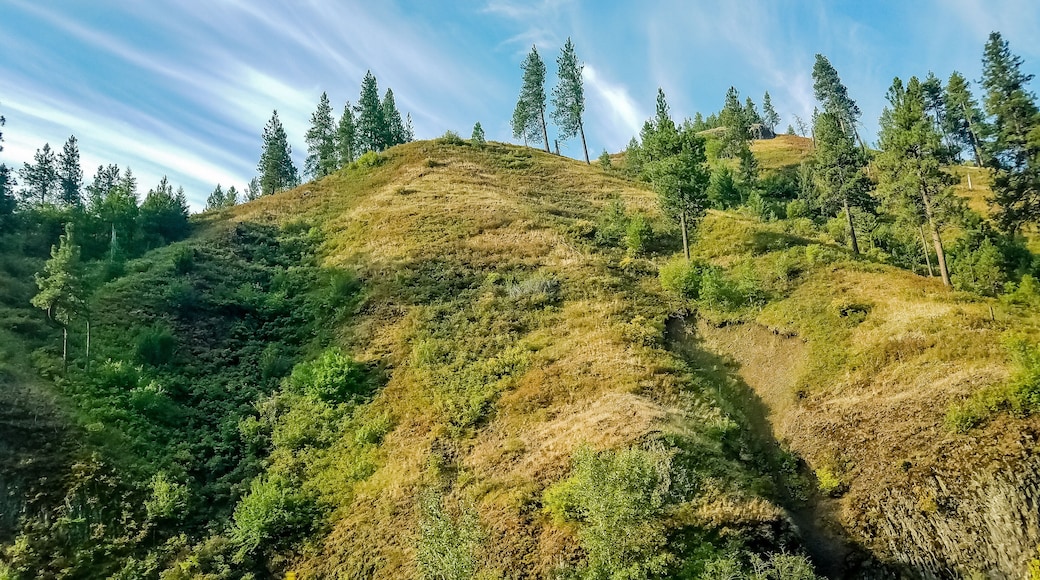 landscape with mountains