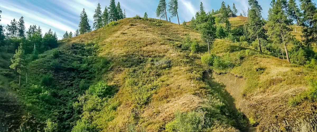 landscape with mountains