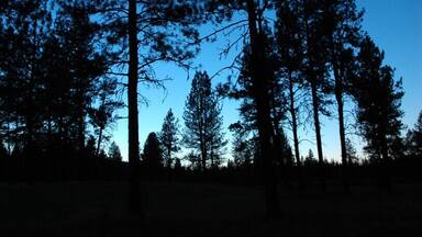 Some awesome, isolated camping in the Whitman Forest of northeast Oregon. Towards the end of the night, since we couldn't make a campfire due to a burn ban, we broke out our cameras and took night shots.