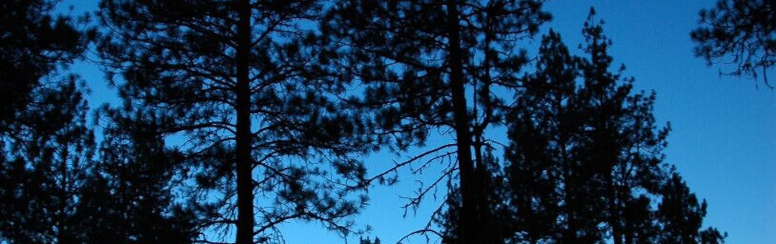 Some awesome, isolated camping in the Whitman Forest of northeast Oregon. Towards the end of the night, since we couldn't make a campfire due to a burn ban, we broke out our cameras and took night shots.