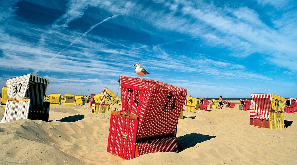 朗格歐格 呈现出 海灘