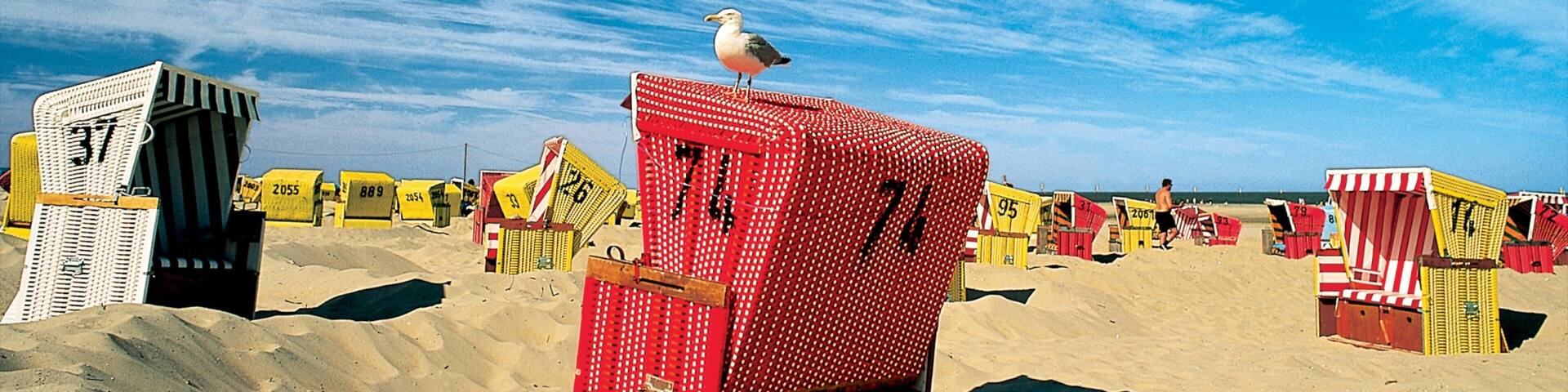 Langeoog which includes a sandy beach