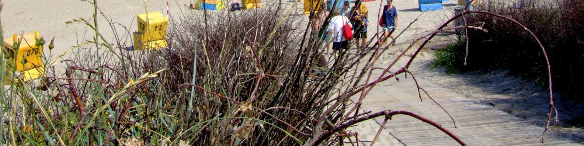 Langeoog welches beinhaltet Strand