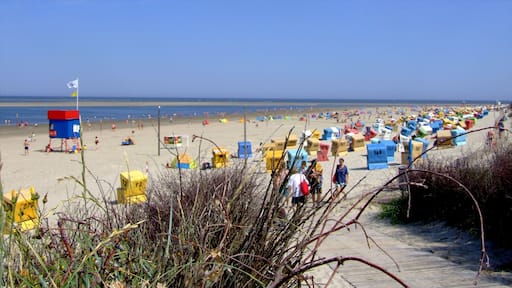 朗格歐格 其中包括 沙灘