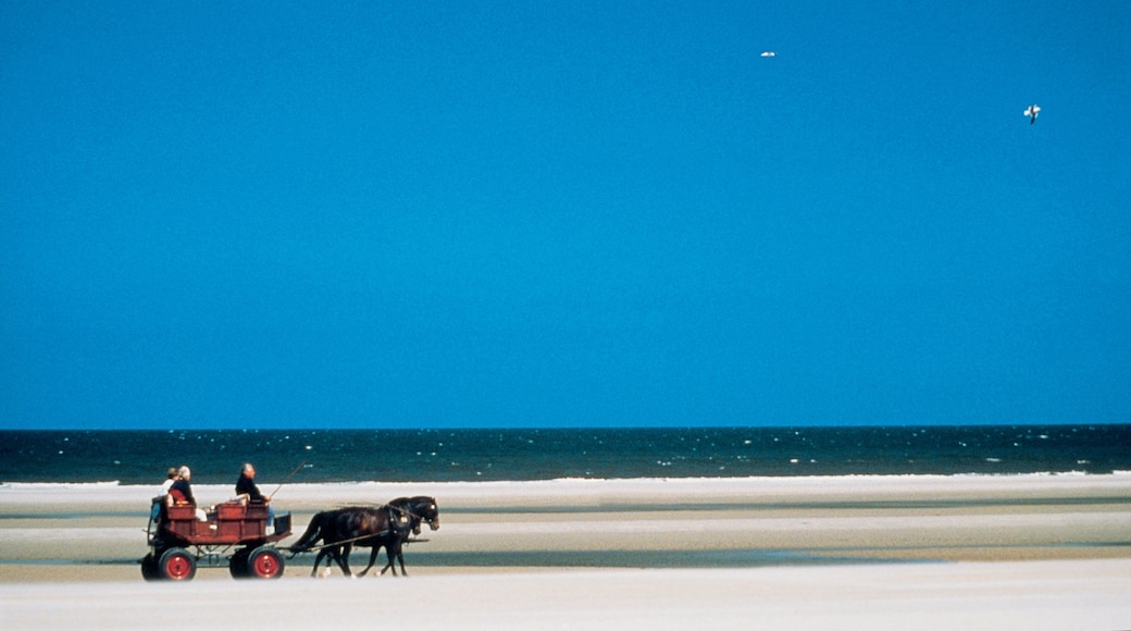 Langeoog