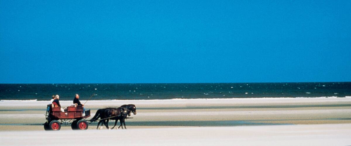 Langeoog featuring a beach
