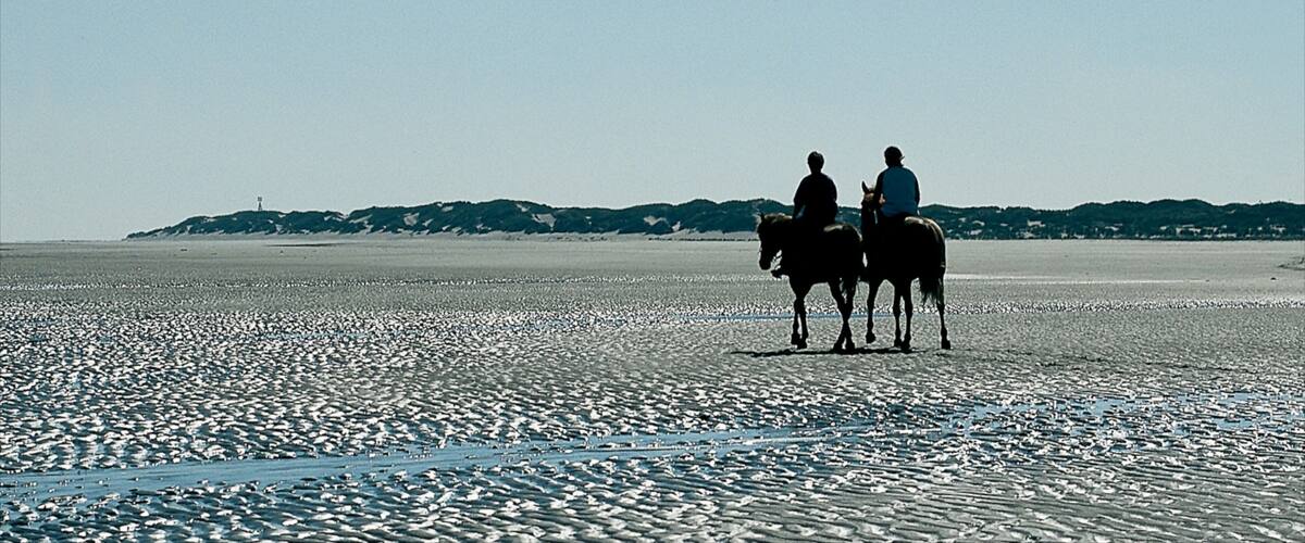 Langeoog ofreciendo una playa de arena, equitación y vistas de paisajes