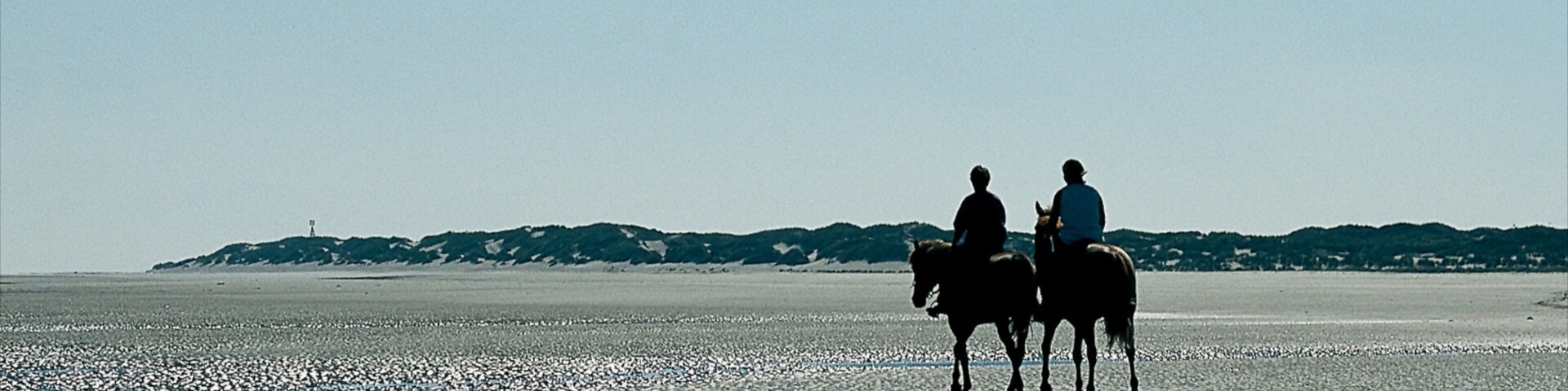 Langeoog que inclui cavalgada, uma praia de areia e paisagem