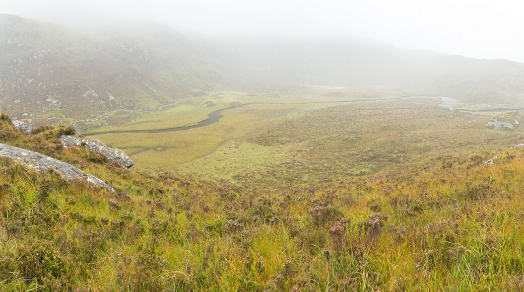 Scottish Highlands Moorland at Rainy Autumnal Day