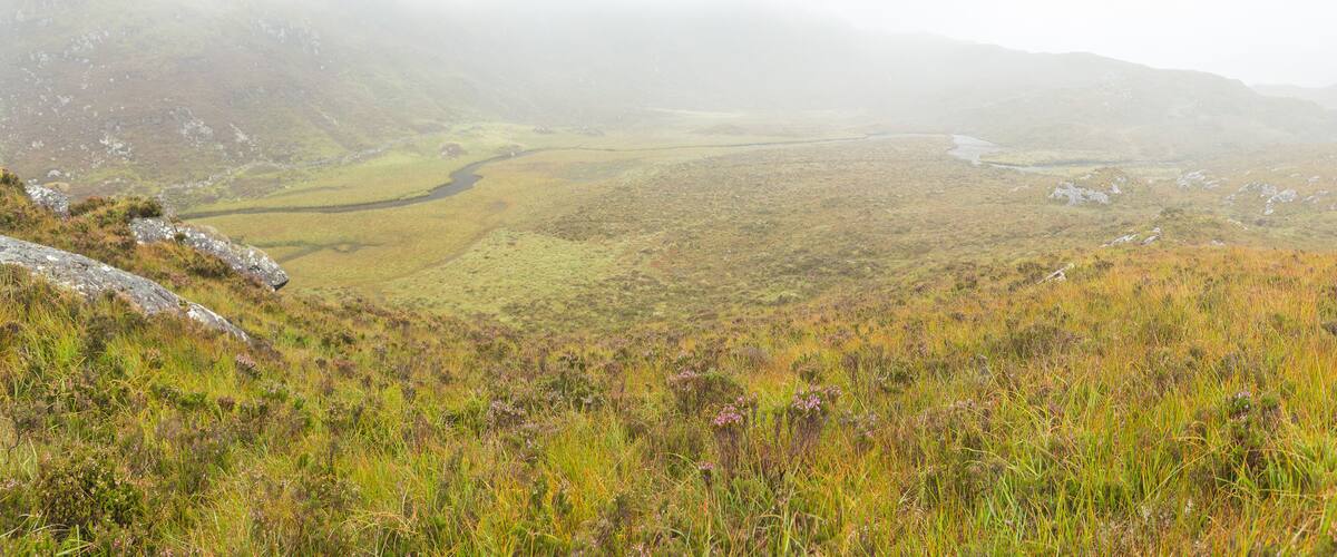 A valley with a river, rolling hills, and sparse vegetation.