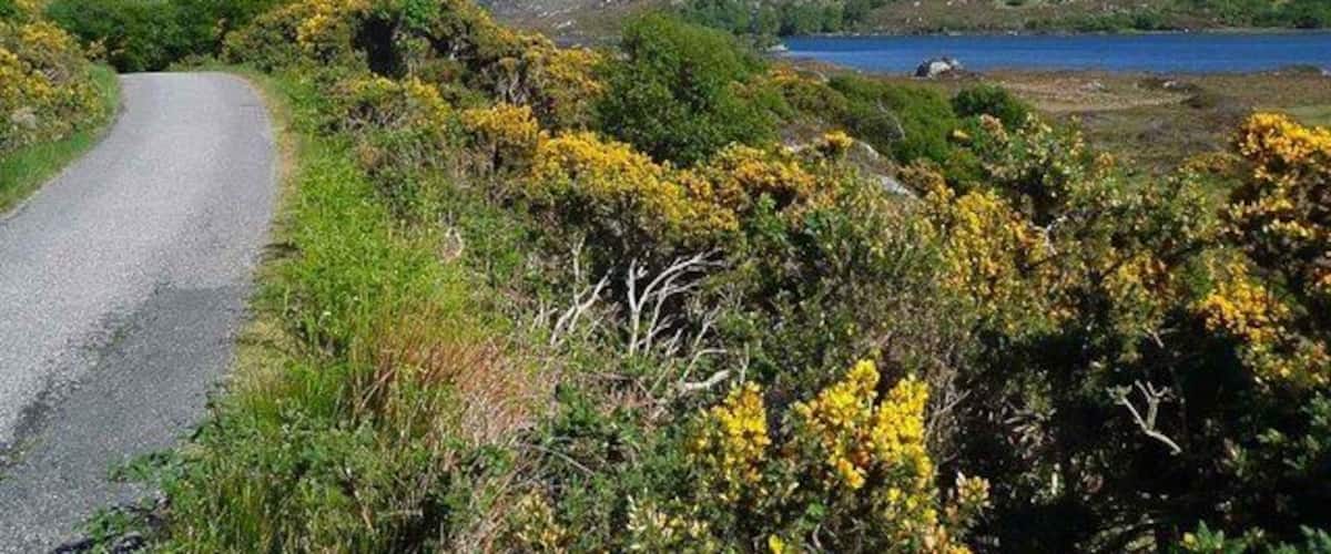 The road to Glencanisp Lodge Loch Druim Suardalain, Suilven and Canisp visible.
