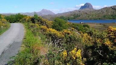A gravel road leading to a lake surrounded by hills and yellow flowering shrubs.