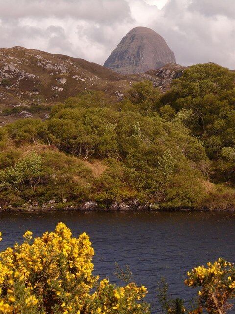 A lake surrounded by hills and yellow flowering shrubs.