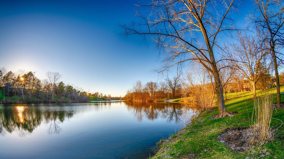 A calm lake reflecting trees and a clear sky.