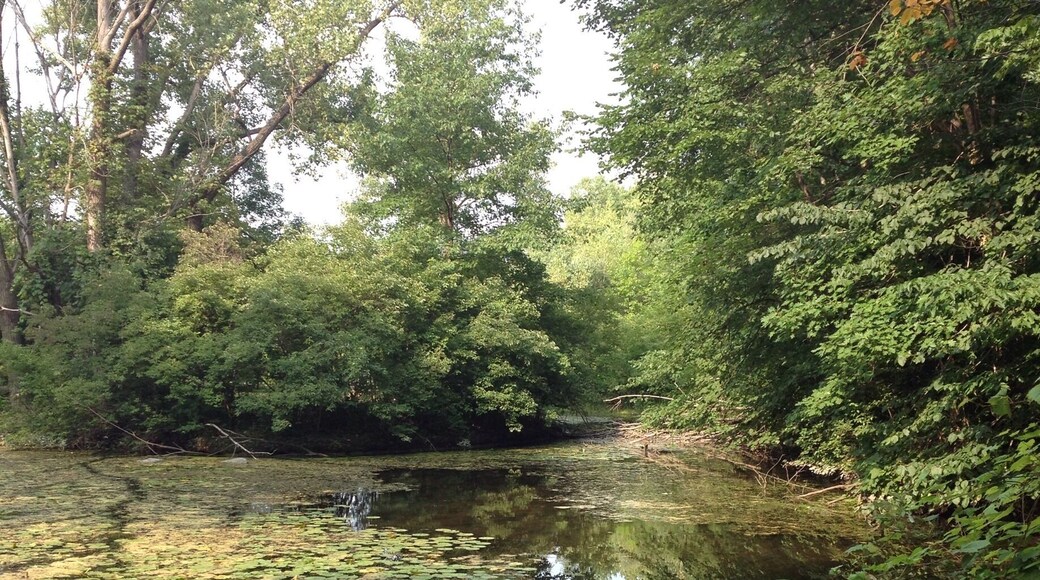 Great place for hiking , Lincolnshire , IL