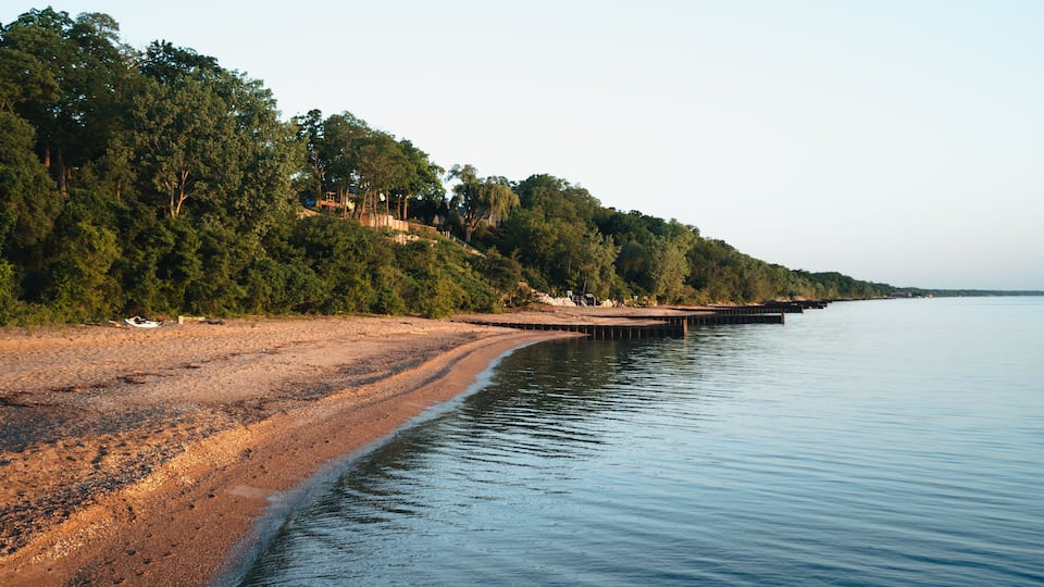 A sandy beach with a calm water body, surrounded by dense green forest and a wooden pier extending into the water.