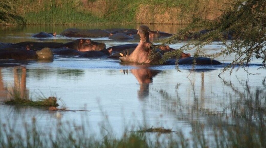 Great body of water..maybe not do much for humans to swim in but fantastic to sit by and observe
#AquaTrover