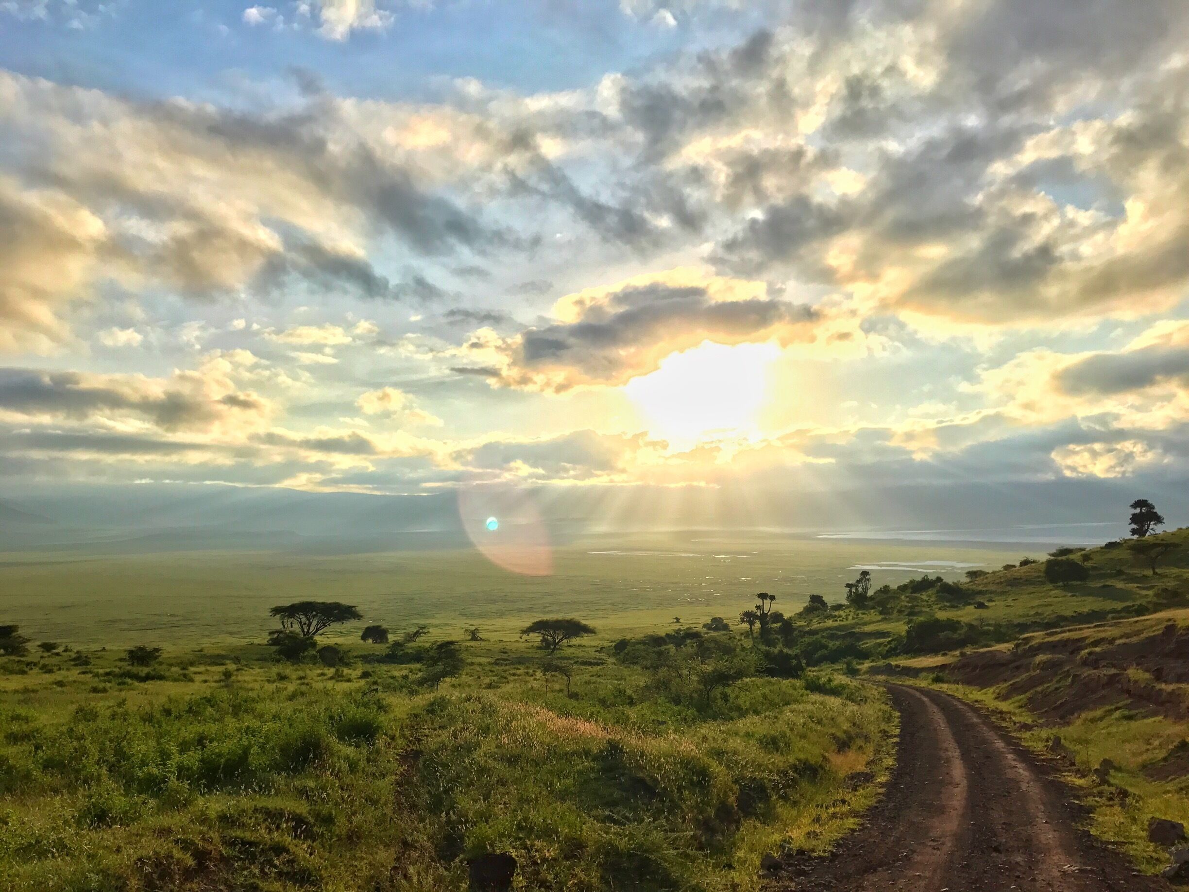 Ngorongoro Crater 
#Green #africa 