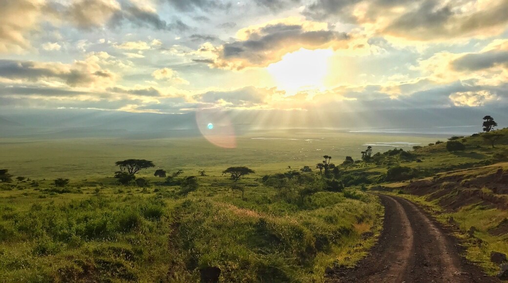Ngorongoro Crater
#Green #africa