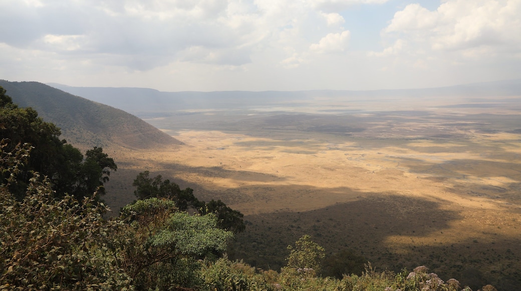 his is looking down into the Ngorongoro Crater in Tanzania. It is the caldera from a massive ancient volcano that is now just teaming with wildlife. If you are interested I just blogged about my experience there
http://circlingthebucketlist.com/index.php/2018/08/28/ngorongoro-crater/ or my facebook page which you can find if you look for circlingthebucket list. O really if you just want to chat about travel drop me a note.