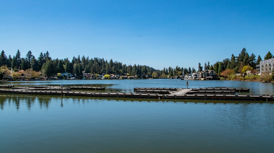 Lake and Docks in Lake Oswego Near Portland, Oregon