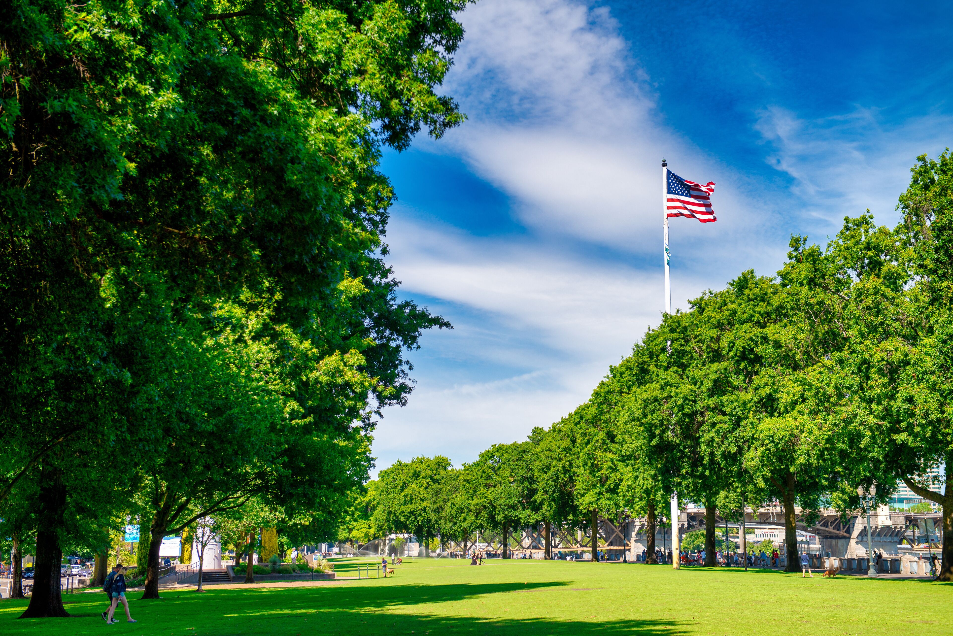 A park with a flagpole, trees, and a clear blue sky.