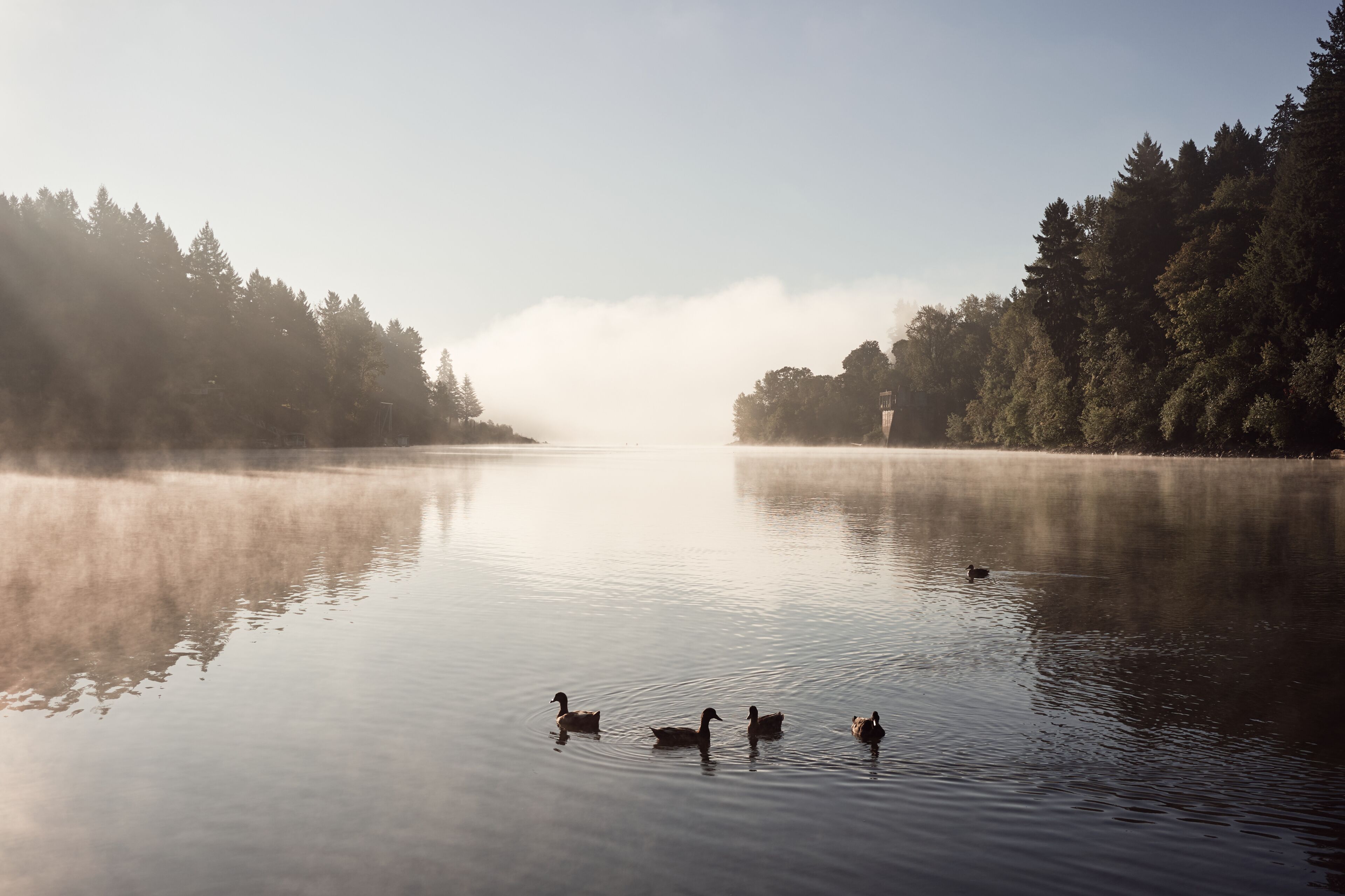 Morning fog over Willamette River seen from George Rogers Park in Lake Oswego, Oregon.